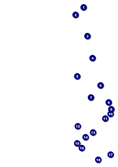Cricket Tournament Postcard Front Field Markers