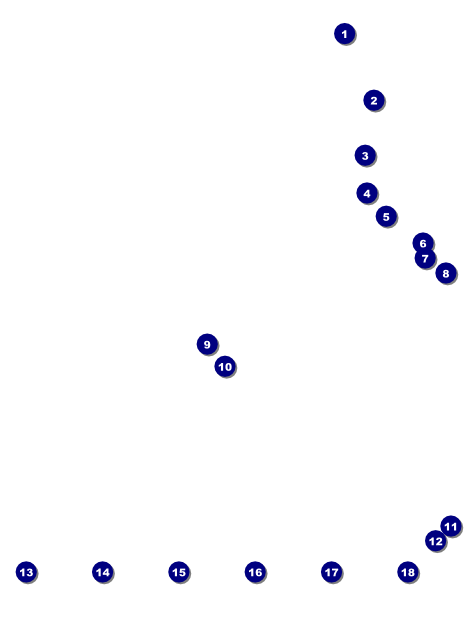Golf Tournament Image Flyer Front Field Markers