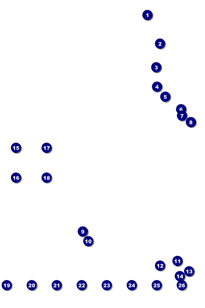 Golf Tournament Image Poster Front Field Markers