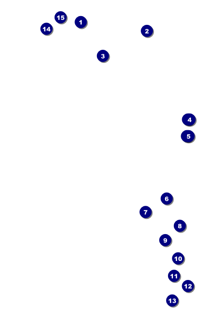 Grand Prix Drink Ticket Front Field Markers