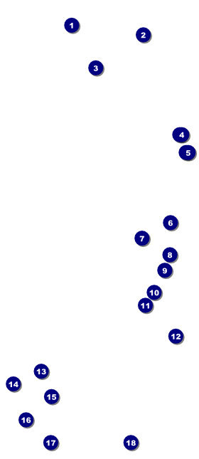 Grand Prix VIP Pass Front Field Markers