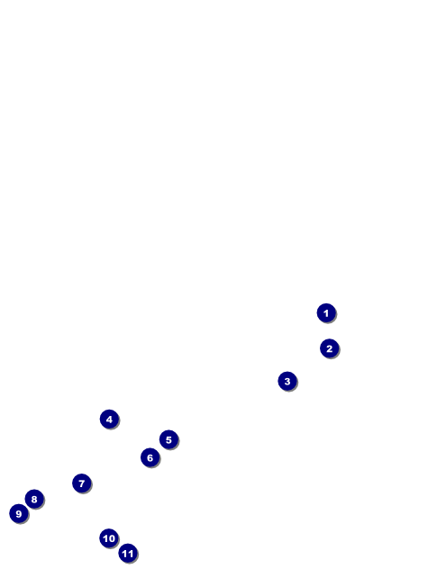 Net Ball Blue Flyer Front Field Markers