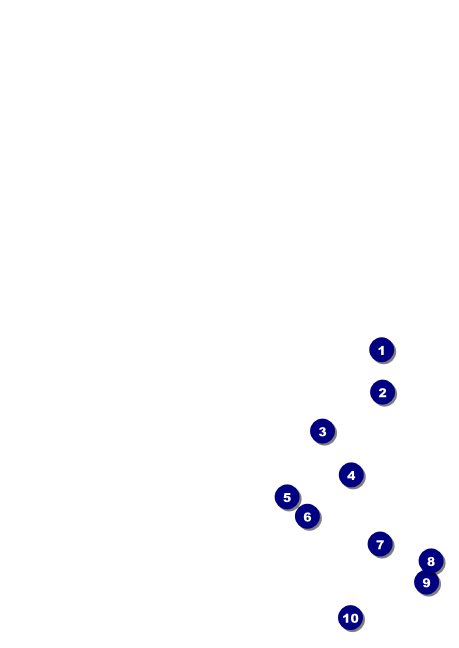 Net Ball Blue Postcard Front Field Markers