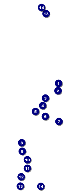 Net Ball Blue Raffle Ticket Front Field Markers