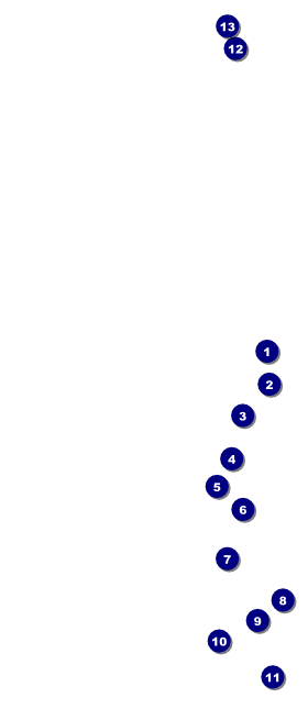 Net Ball Blue VIP Pass Front Field Markers
