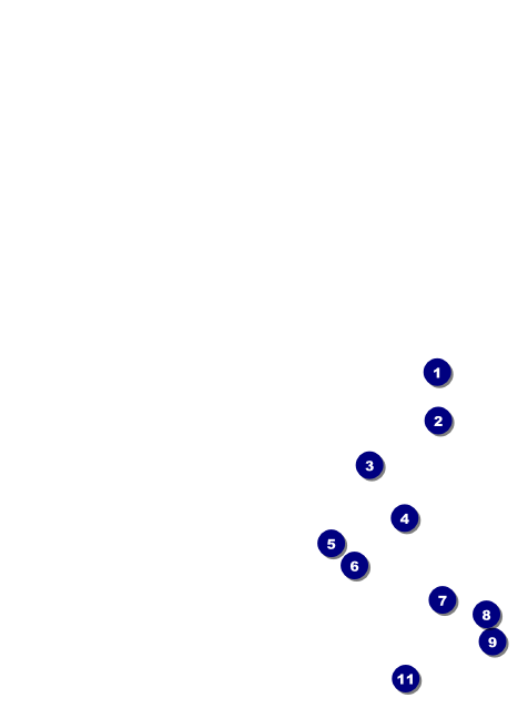 Net Ball Blue Invitation Front Field Markers