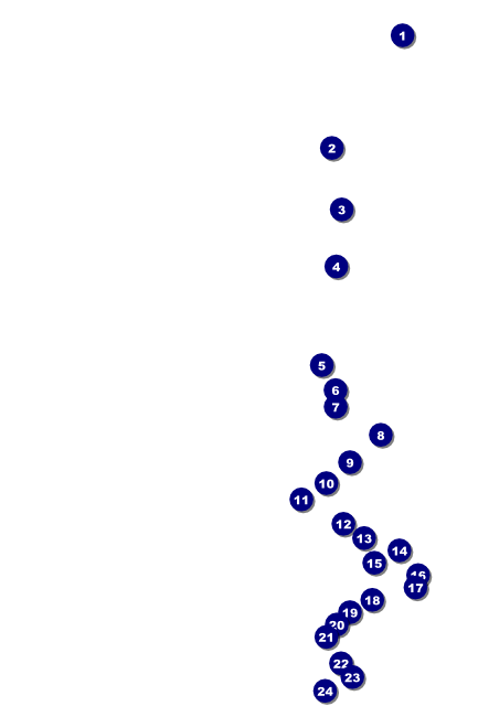 Rugby Tournament Poster Front Field Markers
