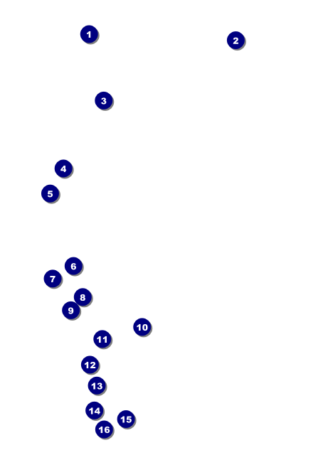 Bingo Bonanza Extravaganza Postcard Front Field Markers